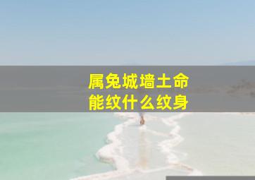 属兔城墙土命能纹什么纹身,城墙土命的人纹身纹什么好