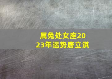 属兔处女座2023年运势唐立淇,2023年必有喜事的星座与美好环环相扣