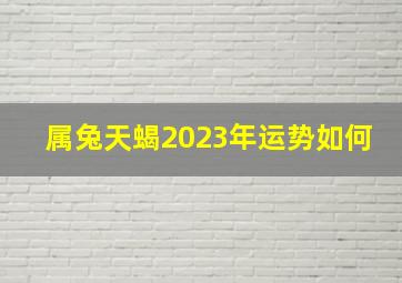 属兔天蝎2023年运势如何,2023天蝎座女全年运势详解