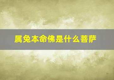 属兔本命佛是什么菩萨,属兔的本命佛是?