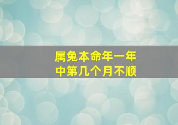 属兔本命年一年中第几个月不顺,属兔的本命年是多少