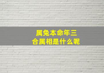 属兔本命年三合属相是什么呢,属兔本命年三合属相是什么呢女孩