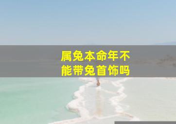 属兔本命年不能带兔首饰吗,属兔本命年不能带兔首饰吗为什么