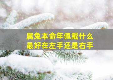 属兔本命年佩戴什么最好在左手还是右手,属兔的戴什么本命佛