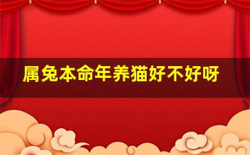 属兔本命年养猫好不好呀,属兔养猫风水好不好