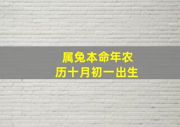 属兔本命年农历十月初一出生,属兔十月初一是什么命