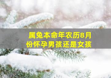 属兔本命年农历8月份怀孕男孩还是女孩,属兔人八月生