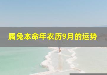 属兔本命年农历9月的运势,属兔本命年农历9月的运势怎么样