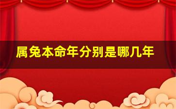 属兔本命年分别是哪几年