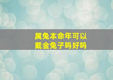 属兔本命年可以戴金兔子吗好吗,兔年本命年戴什么金饰属兔本命年戴金子的讲究