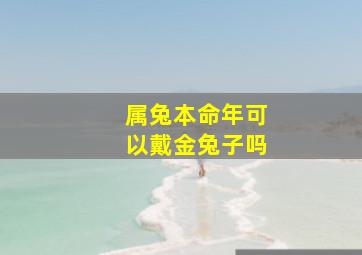 属兔本命年可以戴金兔子吗,本命年兔戴什么转运