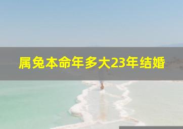 属兔本命年多大23年结婚