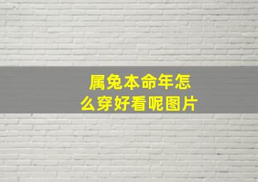 属兔本命年怎么穿好看呢图片,属兔本命年怎么穿好看呢图片男