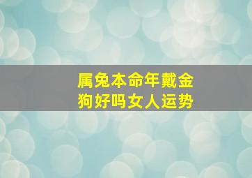 属兔本命年戴金狗好吗女人运势,属兔的人带金好吗