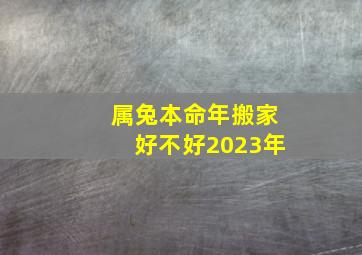 属兔本命年搬家好不好2023年,生肖兔在2023年的命运怎么样