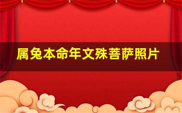 属兔本命年文殊菩萨照片,生肖属兔的本命佛是什么