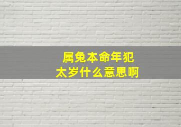 属兔本命年犯太岁什么意思啊,兔在本命年时运势好吗