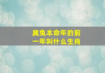 属兔本命年的前一年叫什么生肖,属兔的那年是本命年