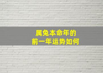 属兔本命年的前一年运势如何,属兔的本命年是202几年