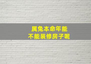 属兔本命年能不能装修房子呢,属兔本命年好不好