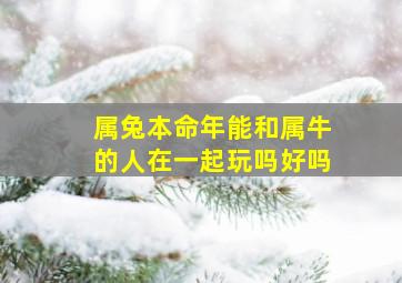 属兔本命年能和属牛的人在一起玩吗好吗,属兔人与属牛人能成好朋友吗