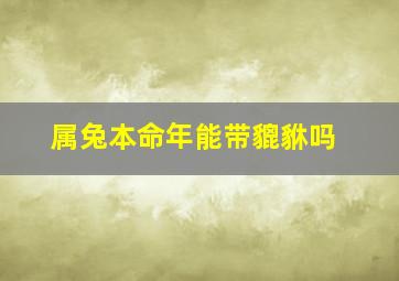 属兔本命年能带貔貅吗,属兔本命年能带貔貅吗男