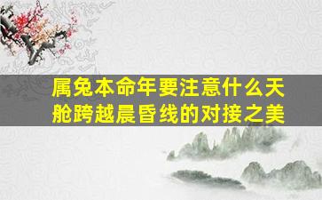 属兔本命年要注意什么天舱跨越晨昏线的对接之美,属兔24岁本命年要注意什么