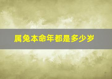 属兔本命年都是多少岁,生肖兔的本命年