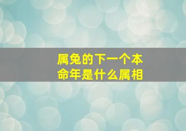 属兔的下一个本命年是什么属相,属兔下来是什么属相