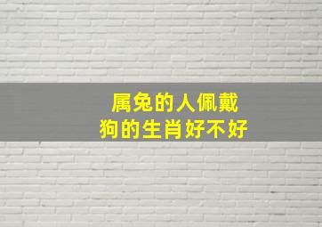 属兔的人佩戴狗的生肖好不好,属兔人戴什么配饰最好