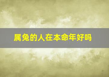 属兔的人在本命年好吗,属兔的人命好吗属兔人命运如何