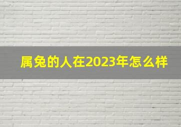 属兔的人在2023年怎么样,2023年属兔的性格是怎样的2023年属兔的是什么命