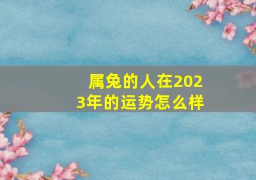 属兔的人在2023年的运势怎么样,2023年本命年属兔运气怎么样