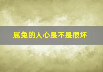 属兔的人心是不是很坏,为什么属兔的人心狠