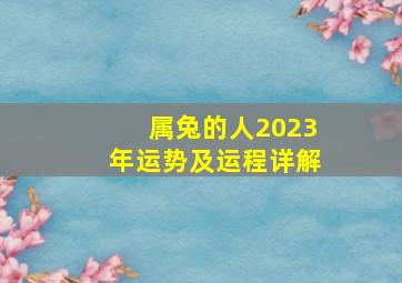 属兔的人2023年运势及运程详解,巨匠详解：属兔2023年全年运势运程及每月运程