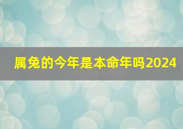 属兔的今年是本命年吗2024,属兔的今年是本命年吗2024