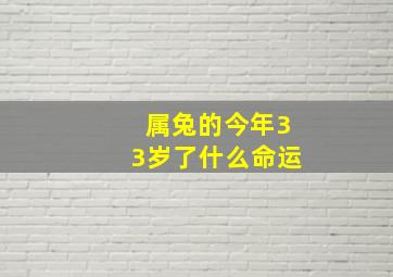 属兔的今年33岁了什么命运,33岁属兔今年需要注意什么