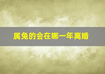 属兔的会在哪一年离婚,75年生肖属兔48岁桃花运2023年会离婚吗