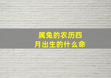 属兔的农历四月出生的什么命,87年属兔阴历4月24日巳时出生是什么命