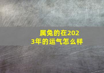 属兔的在2023年的运气怎么样,2023年属兔人怎样样会有好运气吗