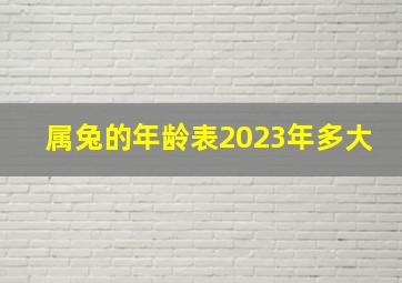 属兔的年龄表2023年多大,99年的2023年多大