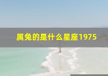 属兔的是什么星座1975,1975年12月7日出生人是什么星座属兔人