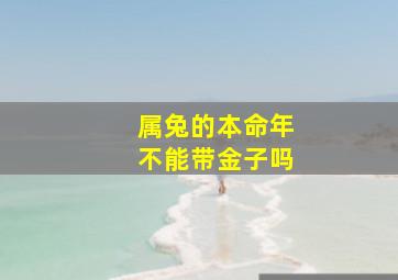 属兔的本命年不能带金子吗