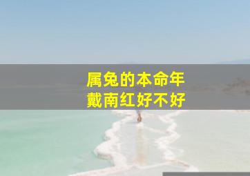 属兔的本命年戴南红好不好,属兔的本命年戴什么好