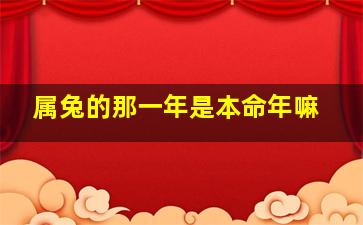 属兔的那一年是本命年嘛,属兔人的本命年是哪几年