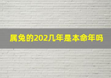 属兔的202几年是本命年吗,2024年属兔的本命年应该注意什么