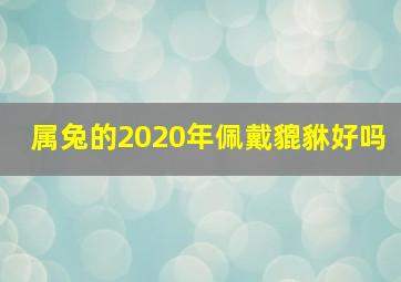 属兔的2020年佩戴貔貅好吗,属兔的本命年佩戴什么辟邪