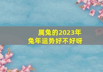 属兔的2023年兔年运势好不好呀,兔年兔的运势2023运势