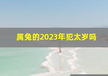 属兔的2023年犯太岁吗,2023年犯太岁的5个属相