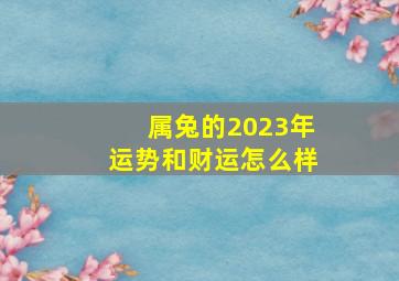 属兔的2023年运势和财运怎么样,属兔2023年正财运怎样样本命年运势普通